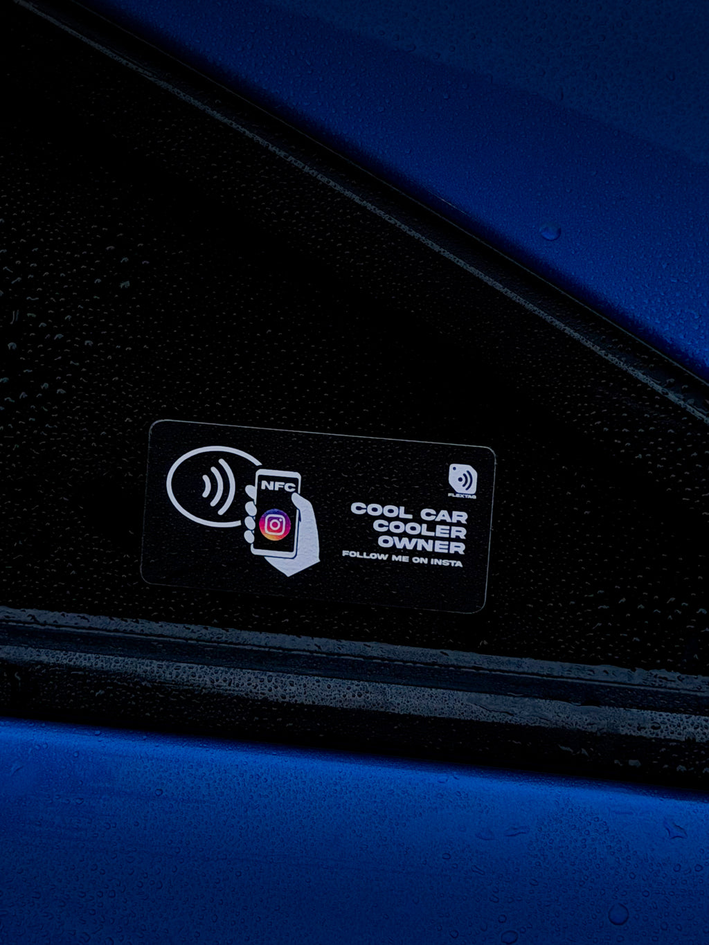 Cool car cooler owner